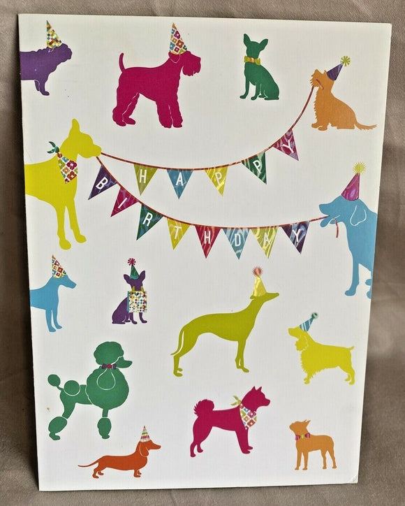 Birthday Greeting Card w/Envelope NEW