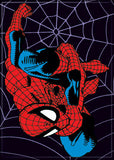 Spiderman on Web PHOTO MAGNET 2 1/2" x 3 1/2 ITEM: 21122MV Ata-boy