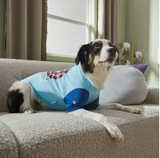 Marvel 's Captain America "Hero Vibes" Dog & Cat T-shirt Size Large