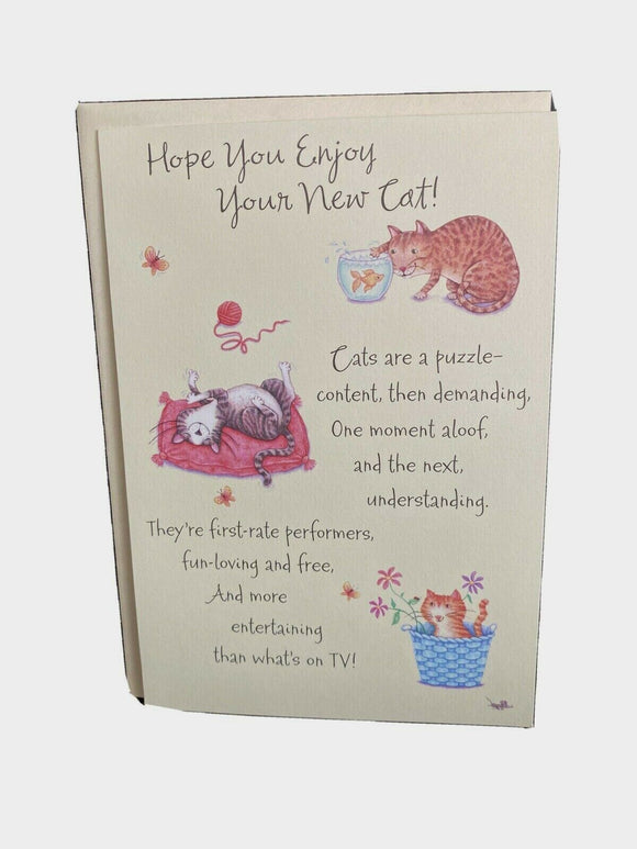 New Cat Greeting Card w/Envelope Designer Greetings NEW