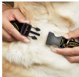 Buckle Down Plastic Clip 1” Deadpool Chimichanga Logo Adjustable 9”-15" Dog Collar WDP067