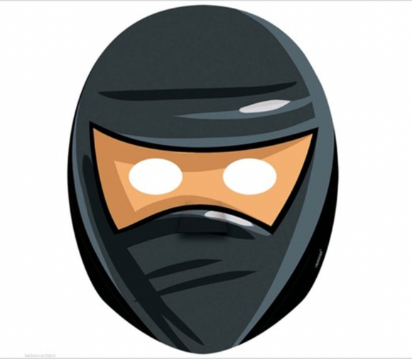 Ninja' Paper Masks (8ct) Party FAVOR