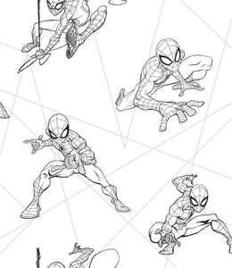 York Wallcoverings DI0940 Marvel Spider-Man Fracture Wallpaper Black/Gray